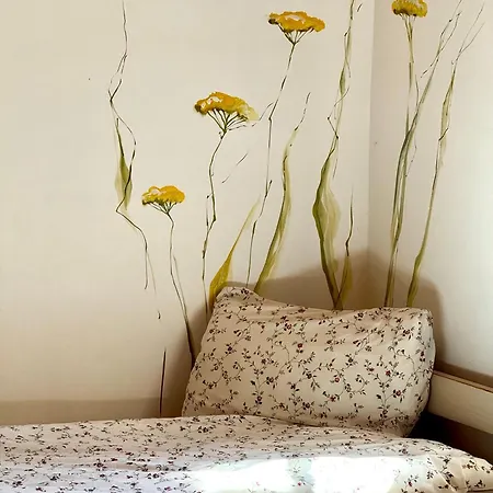 Nasze Chabazie 아파트