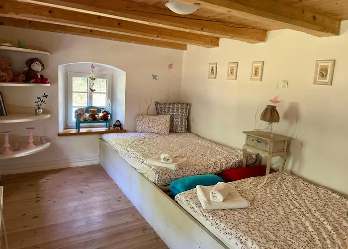 Nasze Chabazie 公寓 *