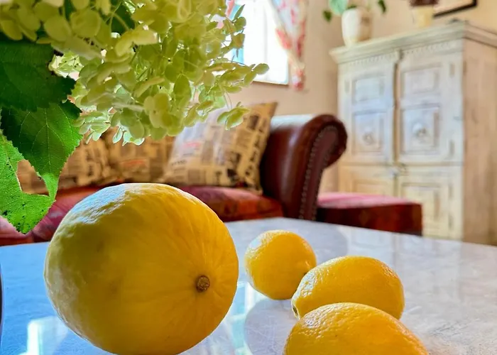 公寓 Nasze Chabazie